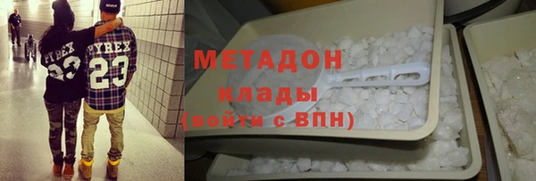 прущие грибы Вязьма