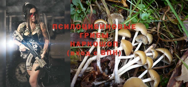 кокаин перу Вяземский