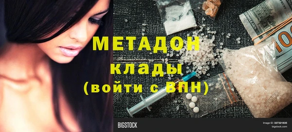 прущие грибы Вязьма
