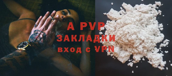 прущие грибы Вязьма