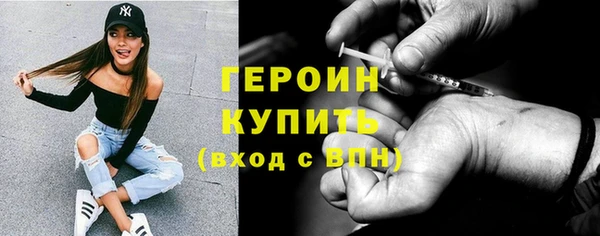прущие грибы Вязьма