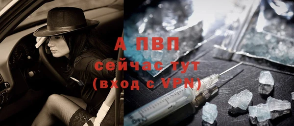 прущие грибы Вязьма