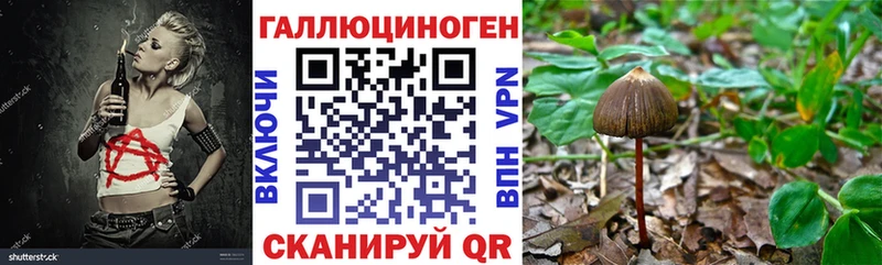 Псилоцибиновые грибы Psilocybe  Петрозаводск 