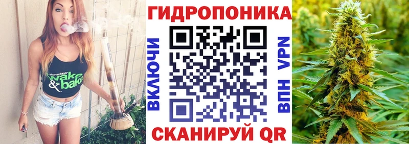 Конопля White Widow  купить наркоту  Петрозаводск 